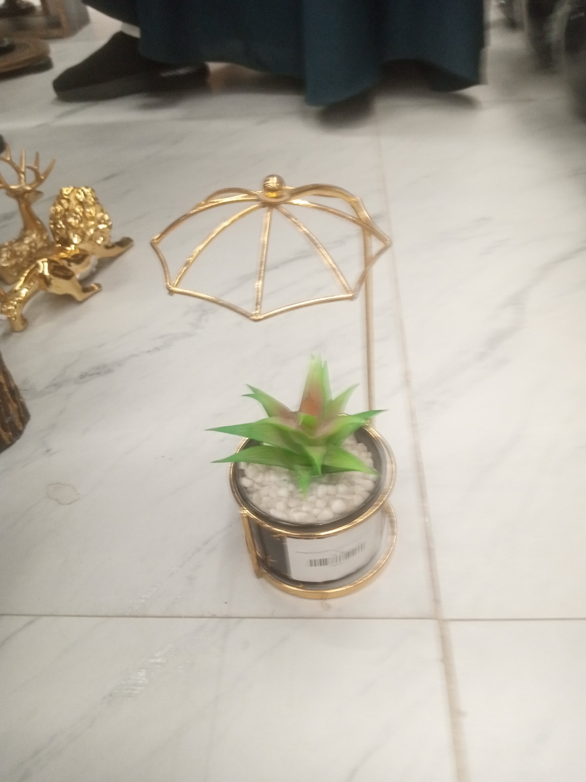 Actual product image