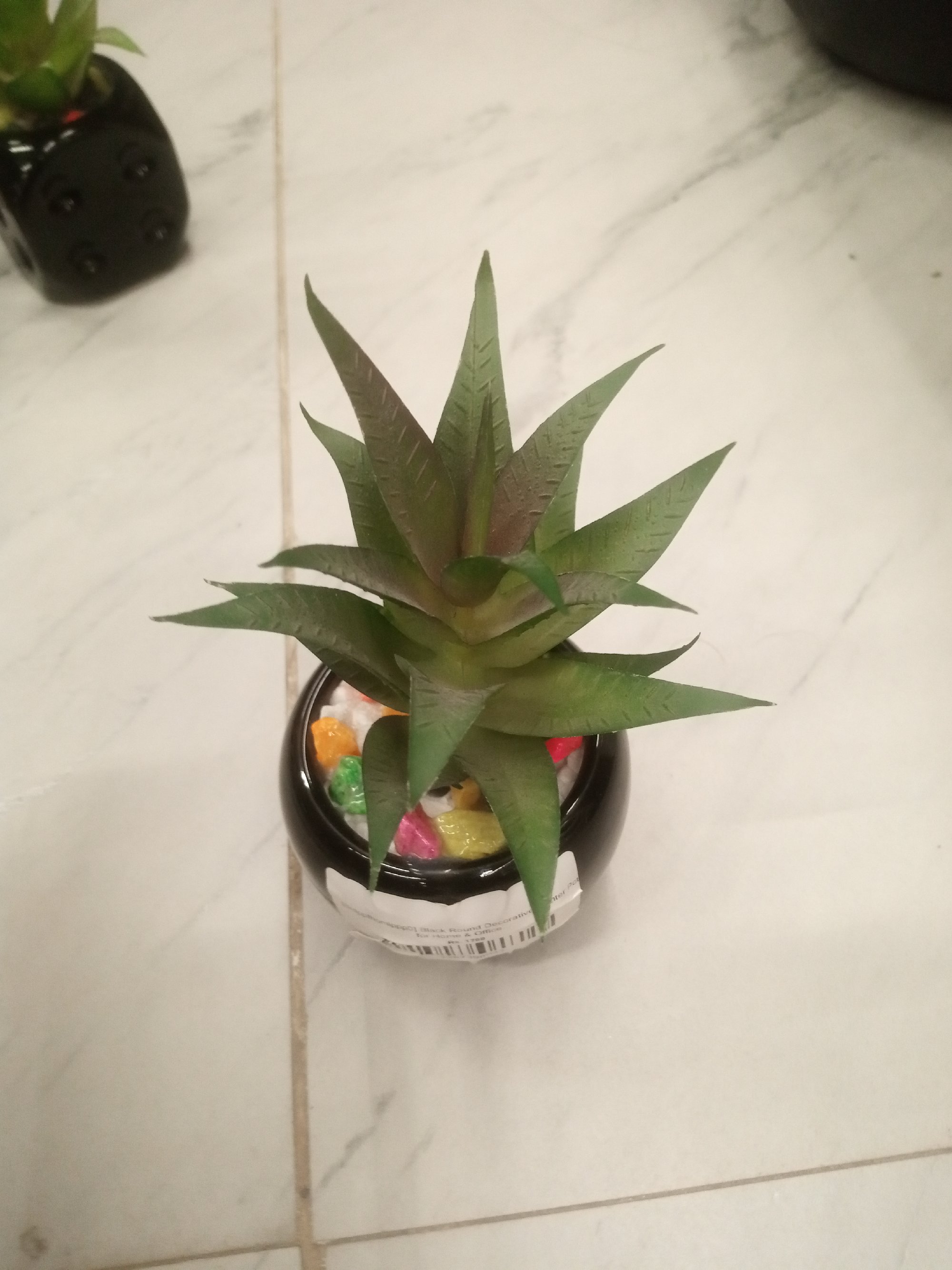 Actual product image