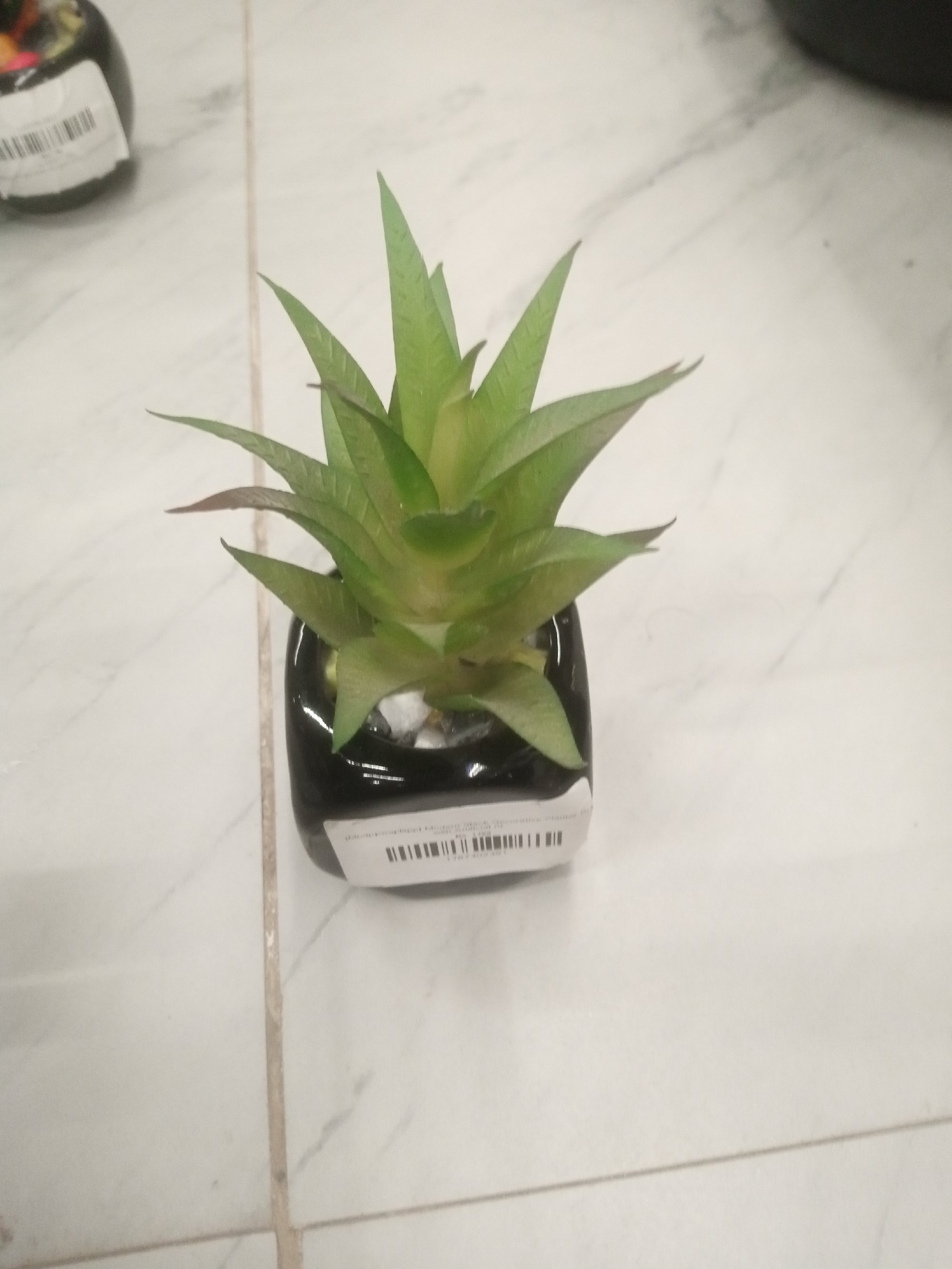 Actual product image