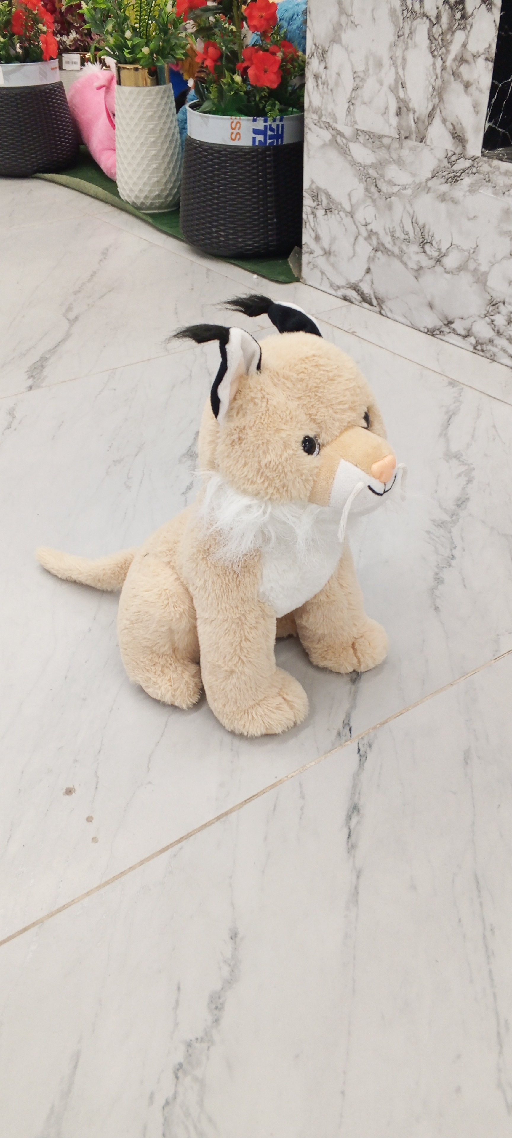 Actual product image