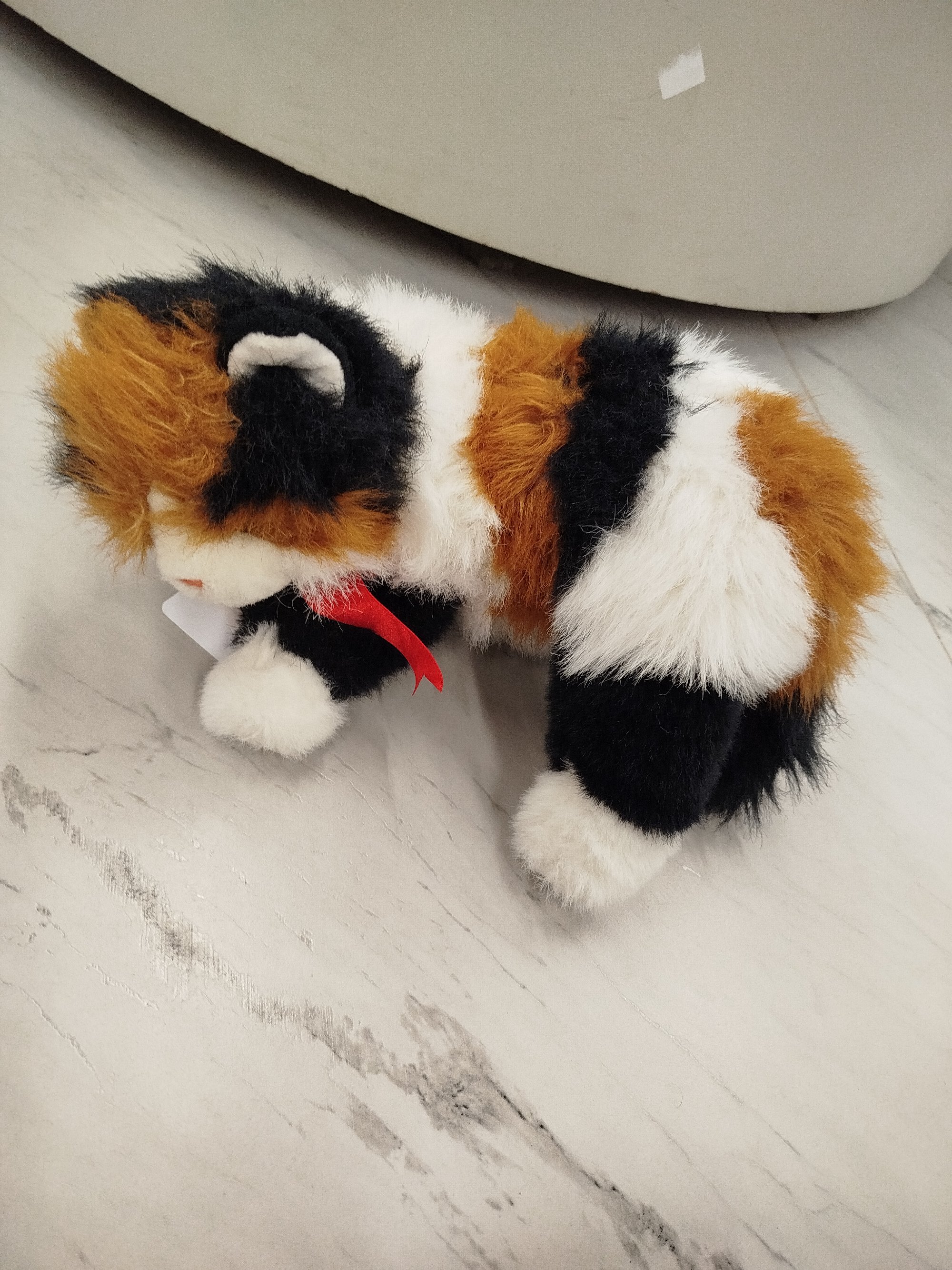 Actual product image