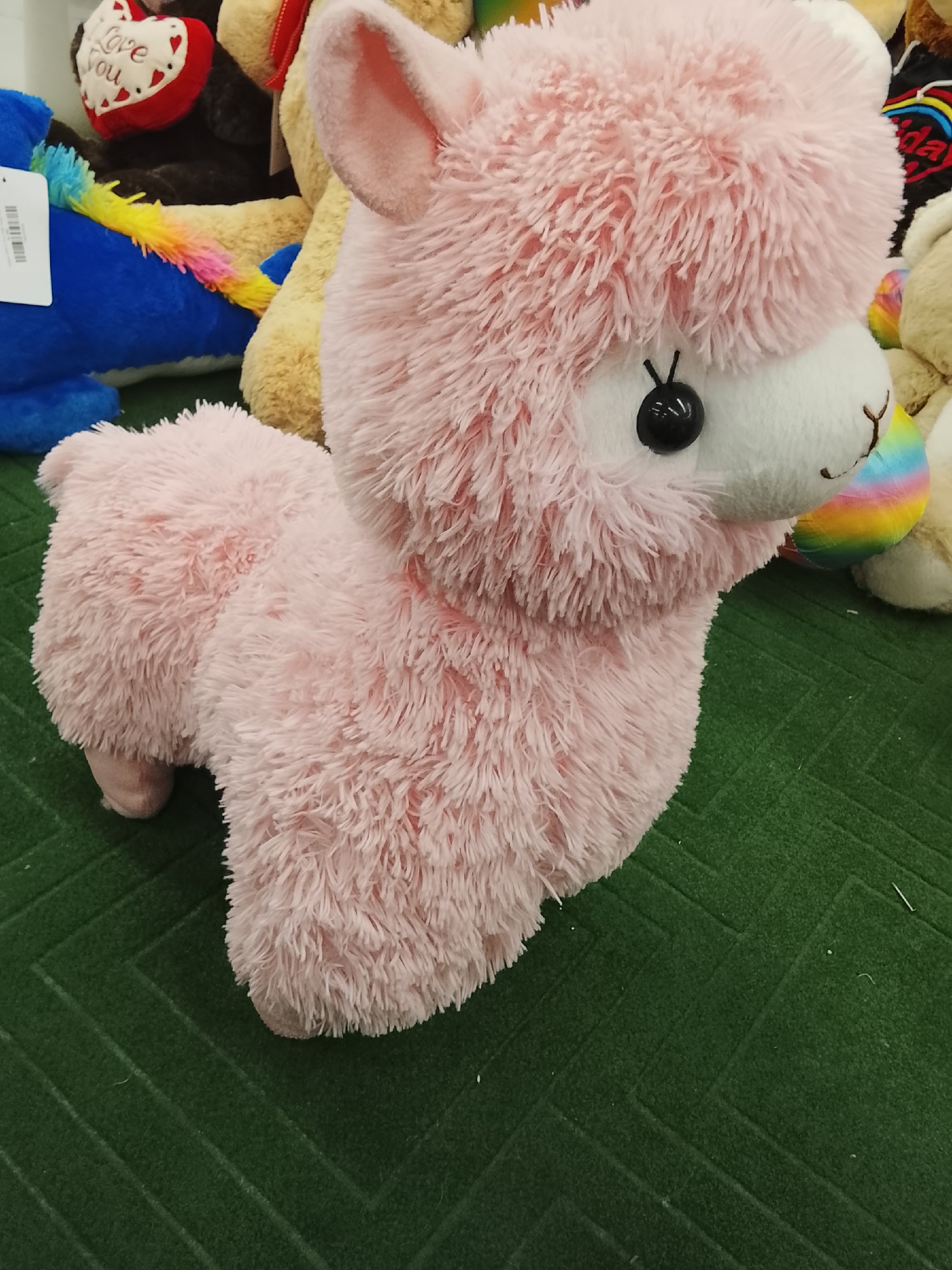 Actual product image
