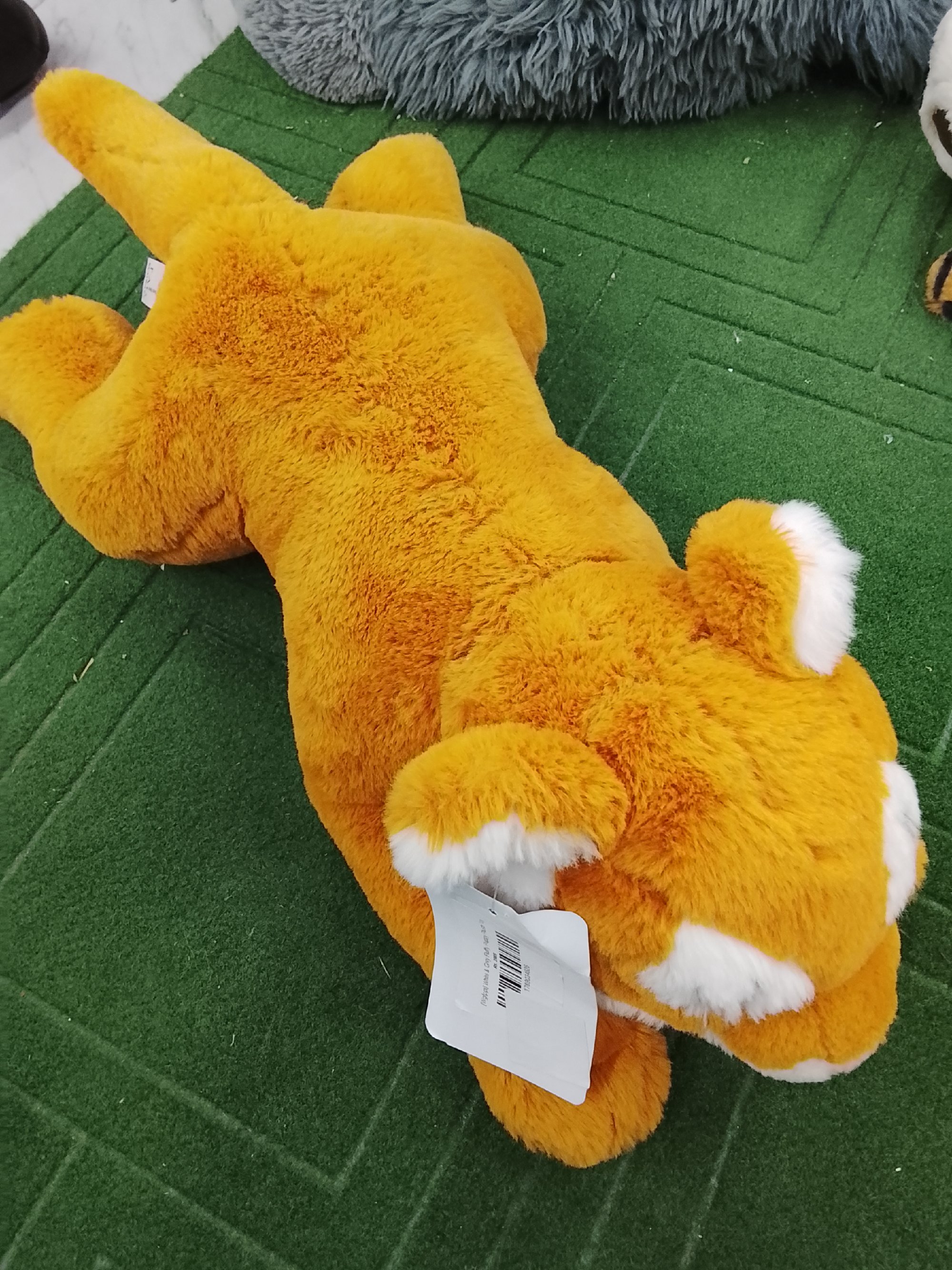 Actual product image