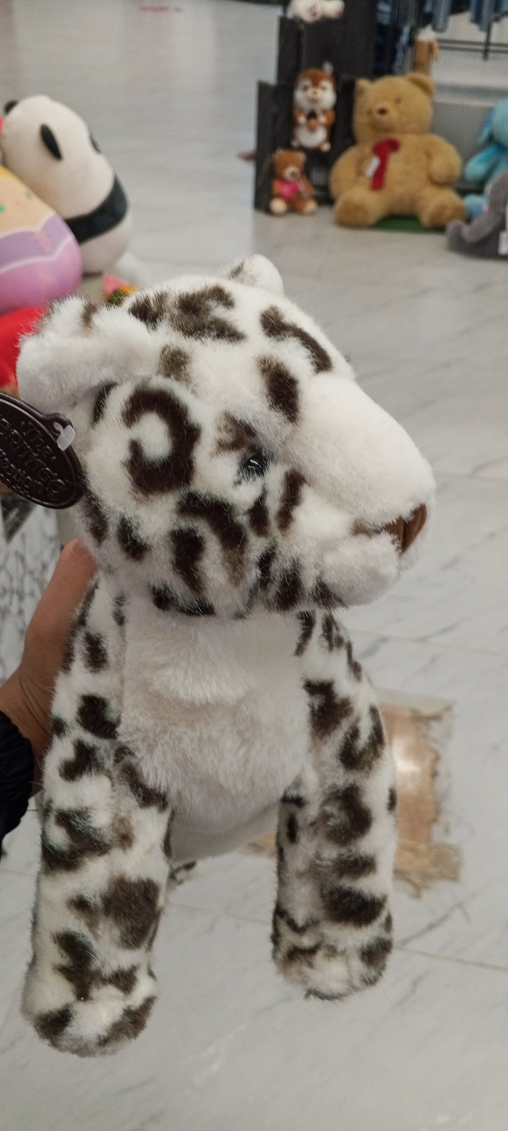 Actual product image
