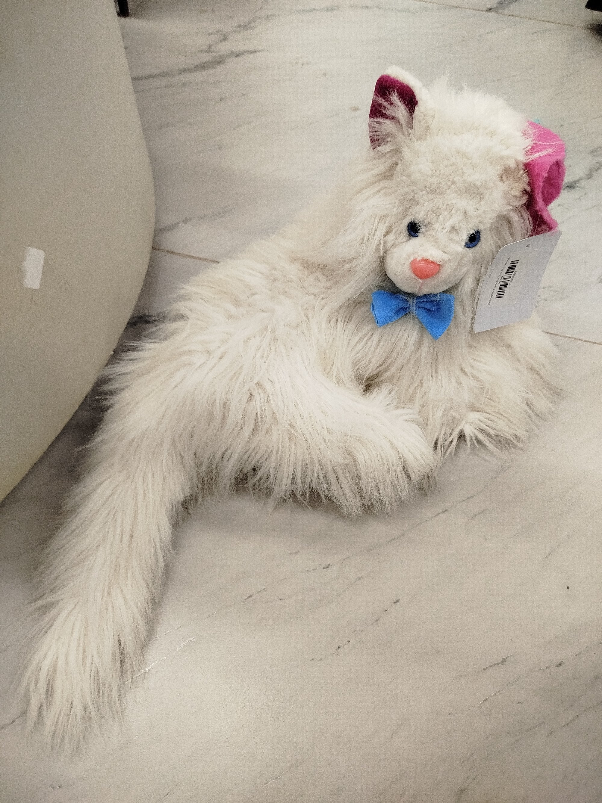 Actual product image