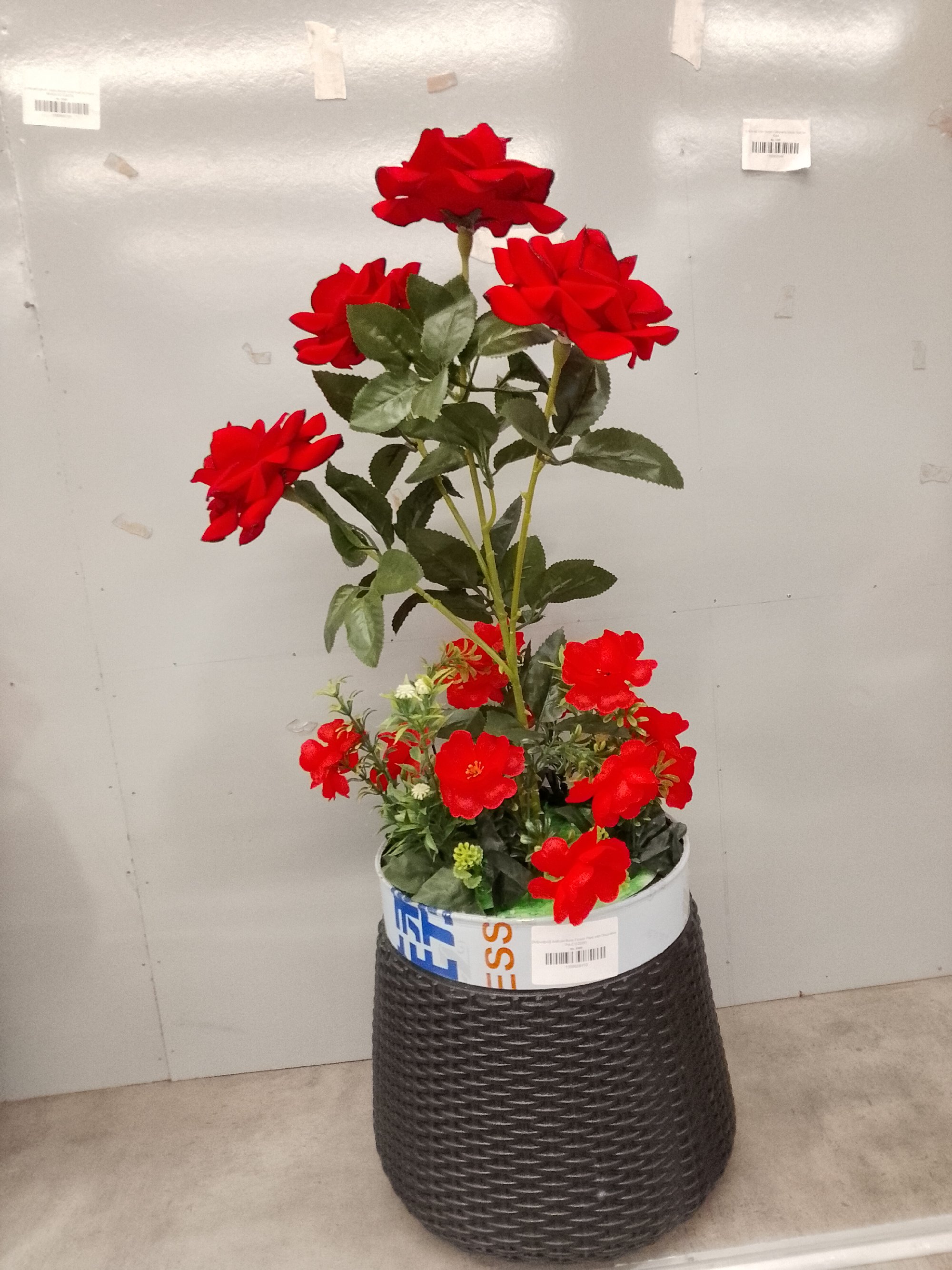 Actual product image