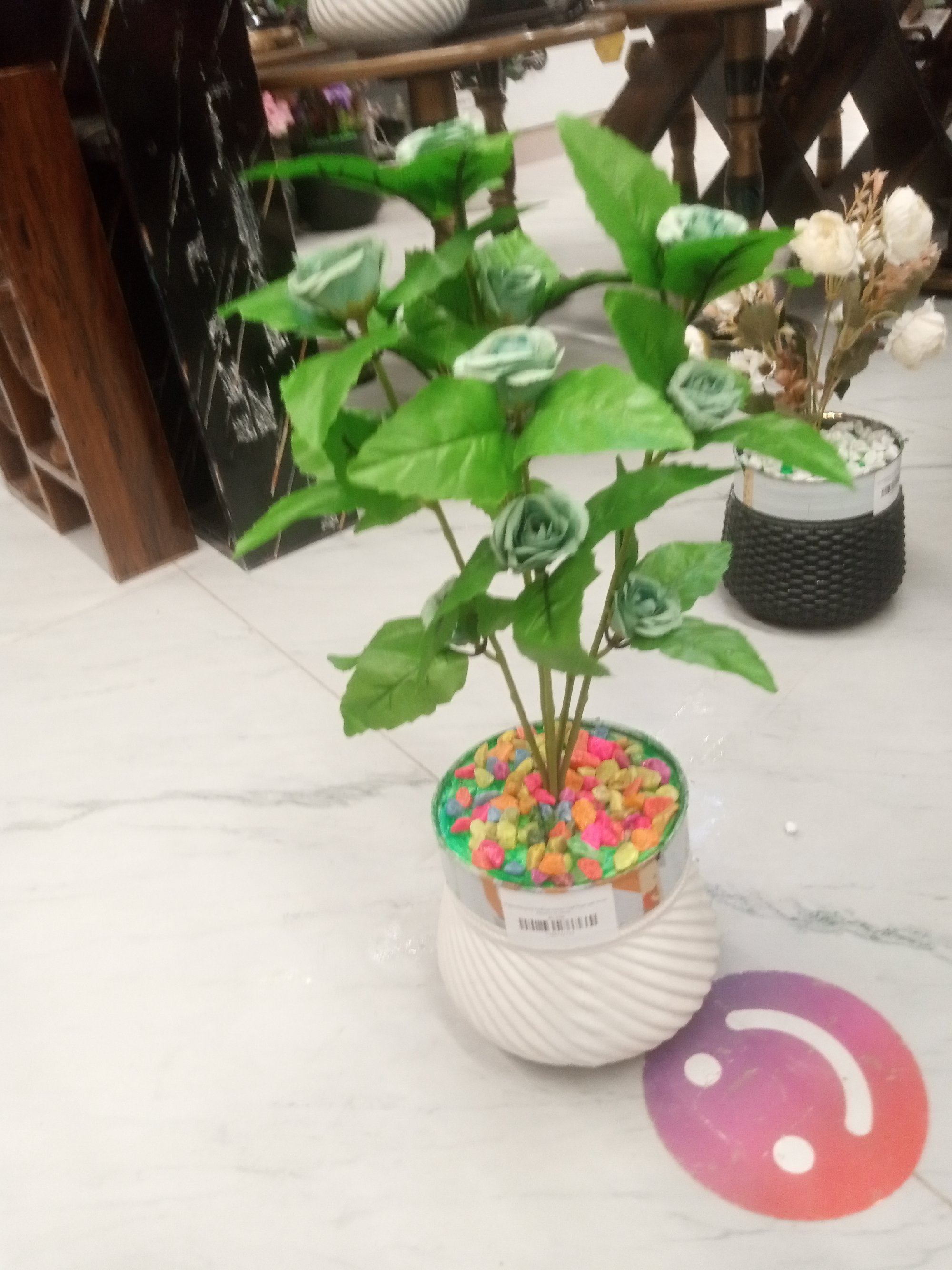 Actual product image